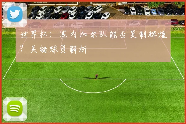 世界杯：塞内加尔队能否复制辉煌？关键球员解析